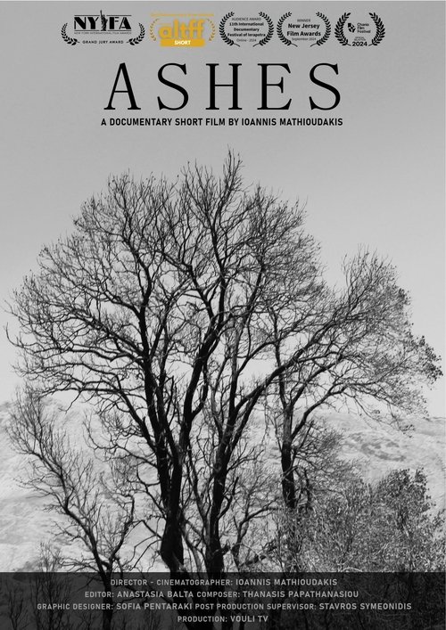 Ashes (2024) movie poster