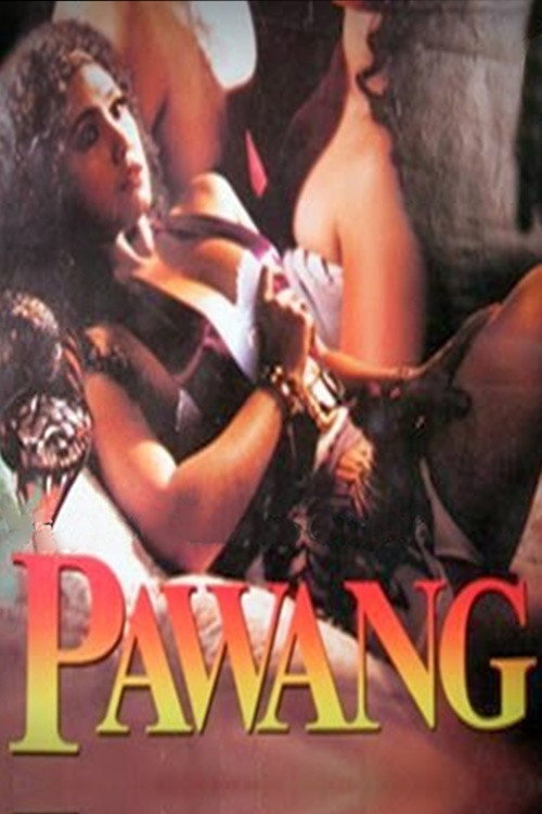 Animal Tamer (1995) movie poster