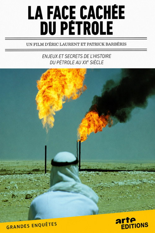 La face cachée du pétrole (2010) movie poster