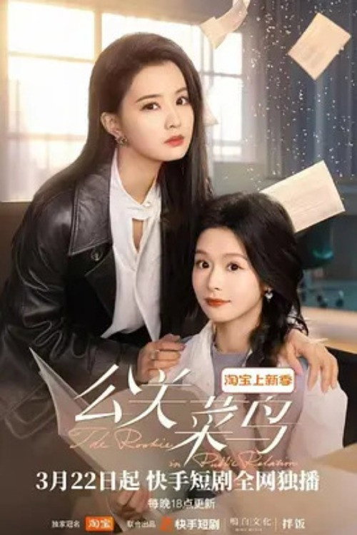 The Rookie in Public Relations (2025) TV show poster