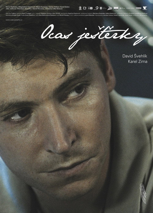 Wingless (2009) movie poster