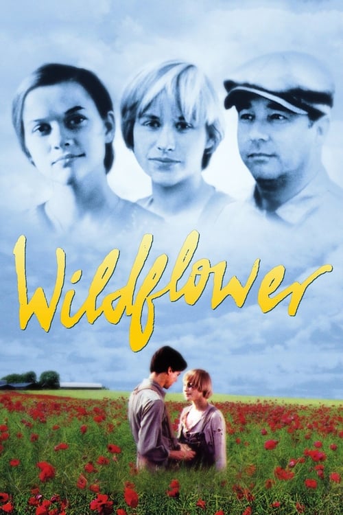 Wildflower (1991) movie poster