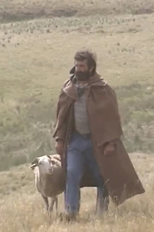 Shepherd and beyond (1994) movie poster