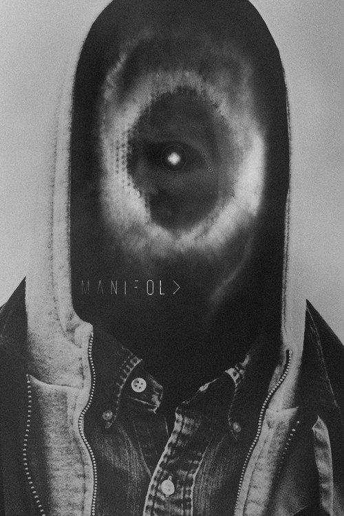 Manifold (2013) movie poster