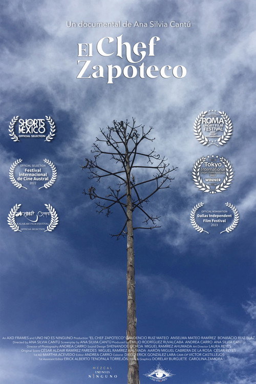 The Zapotec Chef movie poster