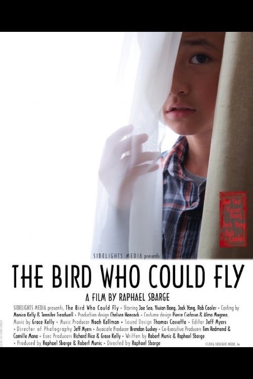 The Bird Who Could Fly (2017) movie poster