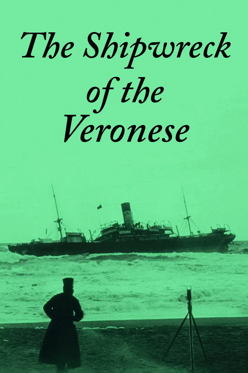 The Shipwreck of the Veronese (1913) movie poster