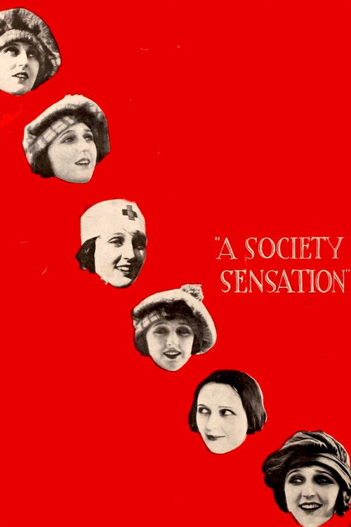 A Society Sensation (1918) movie poster
