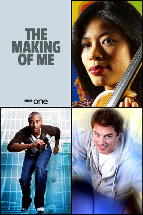The Making of Me (2008) TV show poster