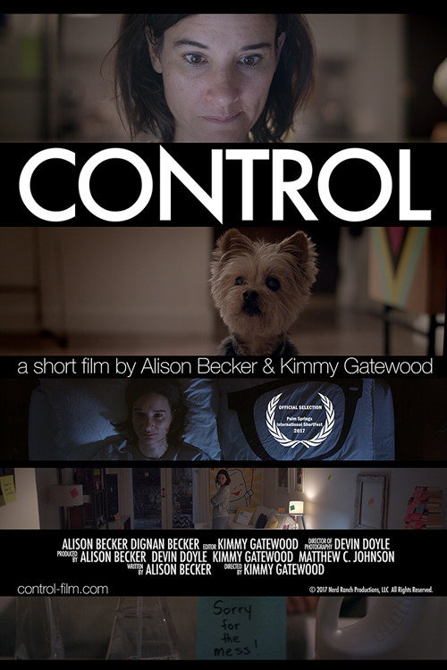 Control (2017) movie poster