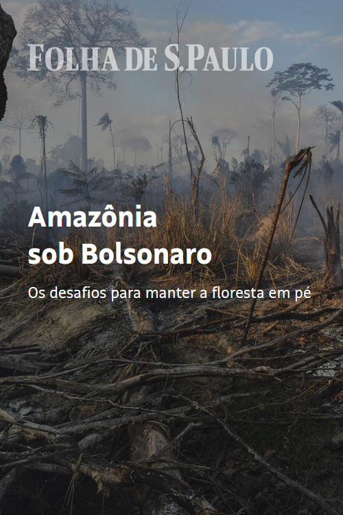 Amazon Under Bolsonaro (2020) movie poster