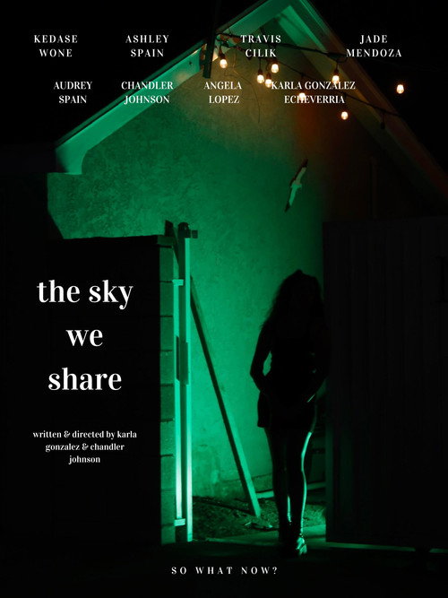 The Sky We Share (2024) movie poster
