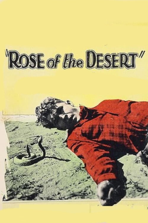 Rose of the Desert (1925) movie poster