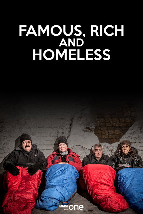 Famous, Rich and Homeless (2009) TV show poster
