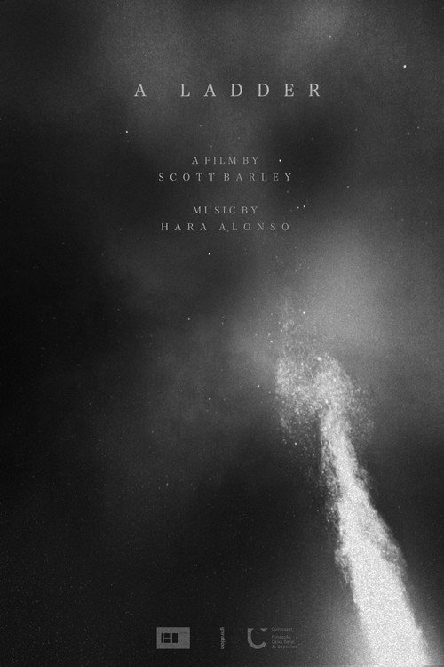 A Ladder (2025) movie poster