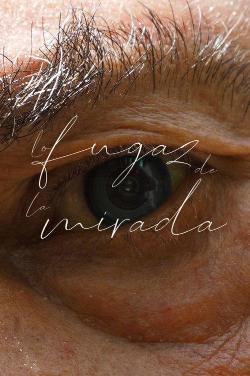 Lo Fugaz de la Mirada (2024) movie poster