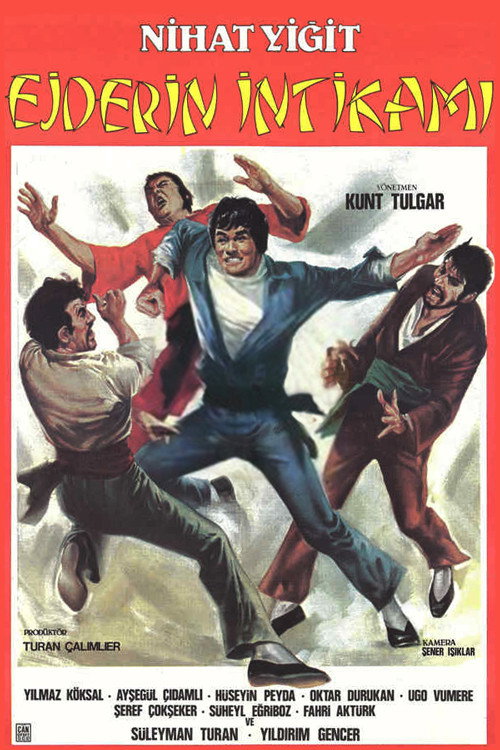 Ejderin İntikamı (1984) movie poster