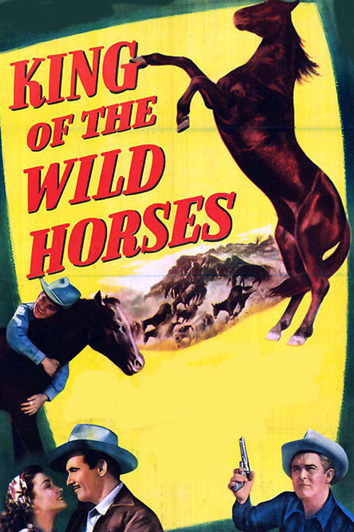 King of the Wild Horses (1947) movie poster
