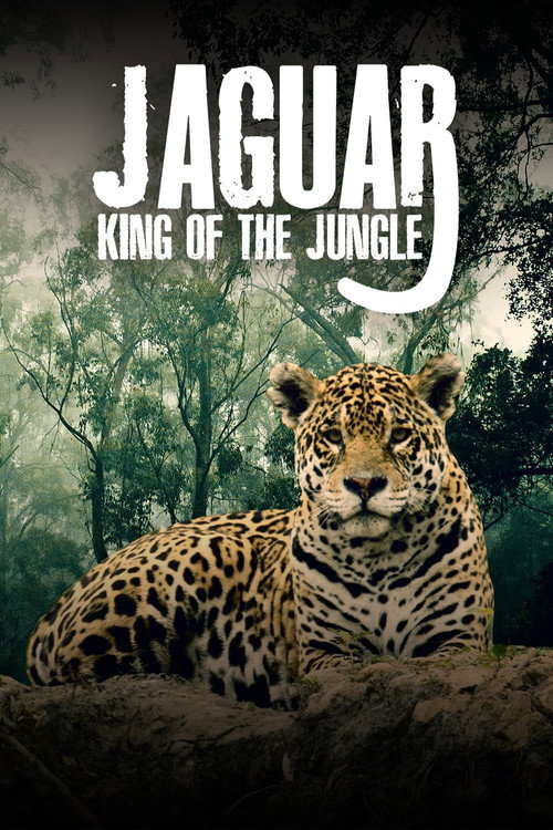 Jaguar: King of the Jungle (2020) movie poster