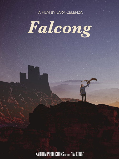 Falcong movie poster