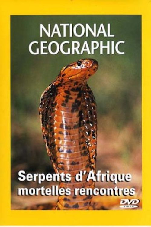 African Snakes (2001) movie poster