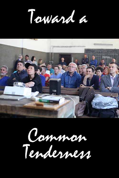 Toward a Common Tenderness (2017) movie poster