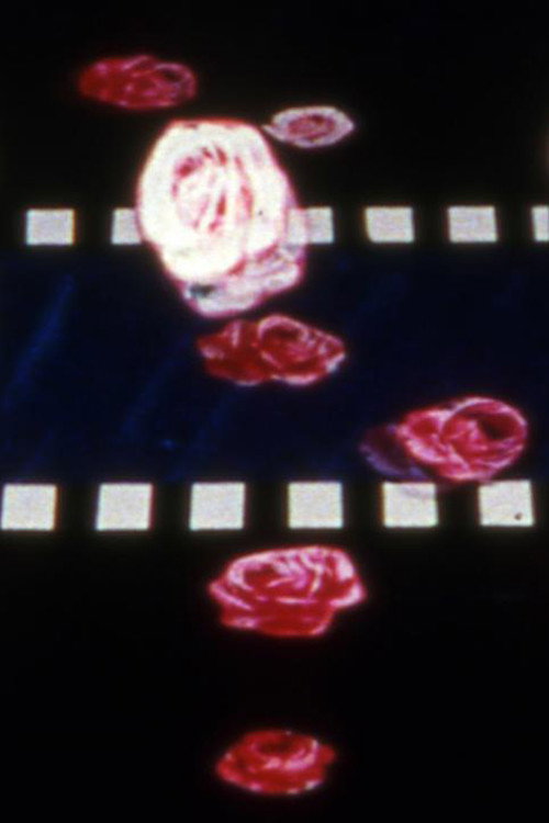 Eclipse Predictions (1982) movie poster