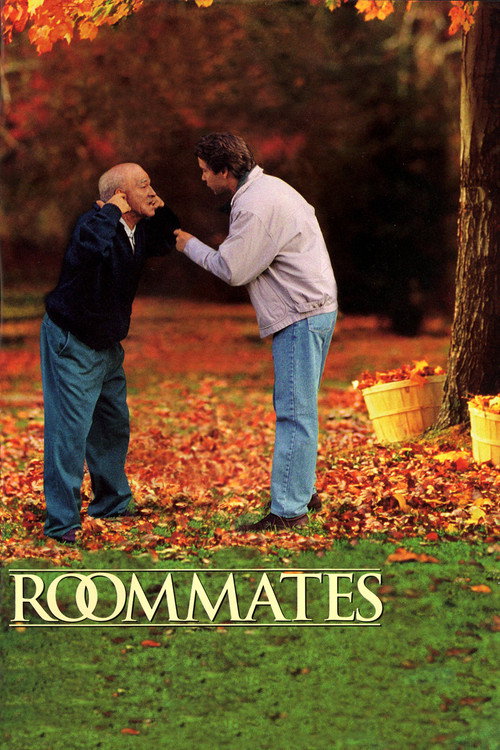 Roommates (1995) movie poster