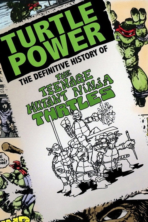 Turtle Power: The Definitive History of the Teenage Mutant Ninja Turtles (2014) movie poster