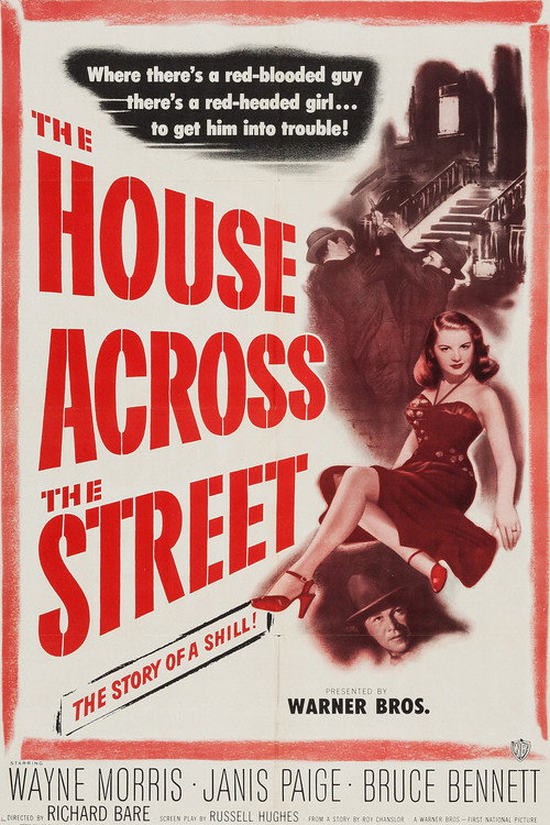 The House Across the Street (1949) movie poster