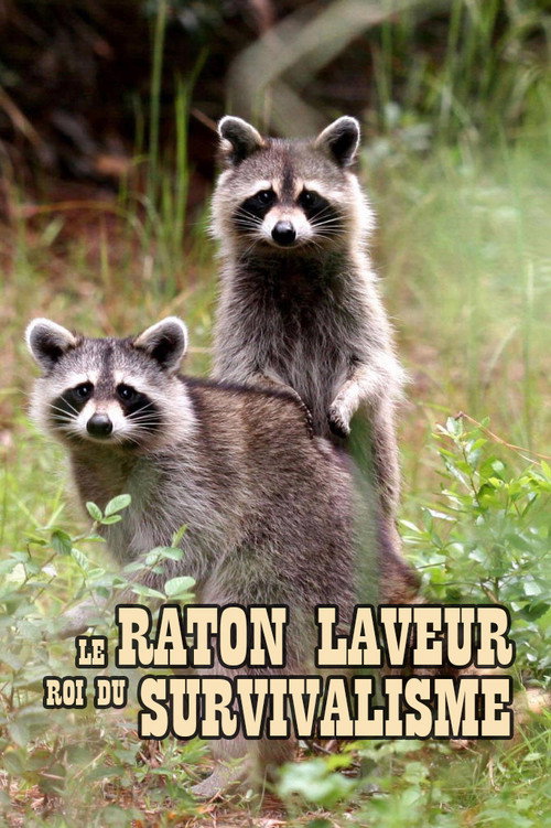 The Raccoon; The King of Survivalism (2021) movie poster