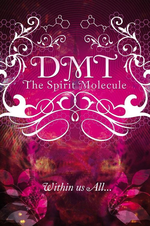 DMT: The Spirit Molecule (2010) movie poster