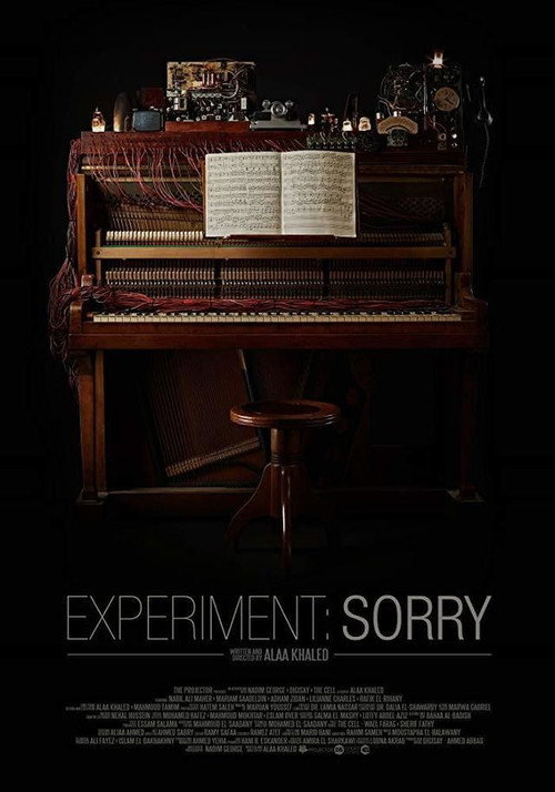 Experiment: Sorry (2018) movie poster
