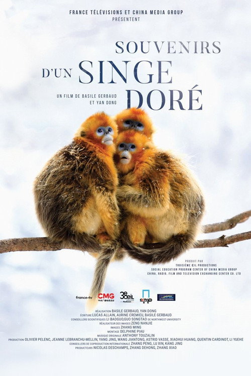 Souvenirs d'un singe doré (2023) movie poster