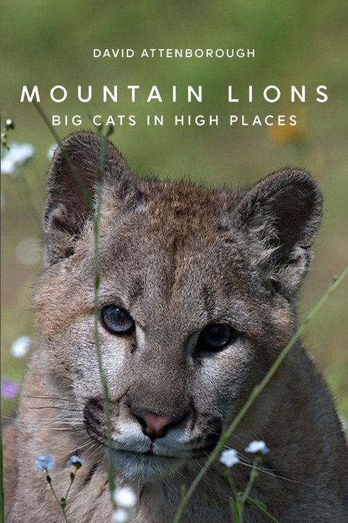 Mountain Lions: Big Cats in High Places (2014) movie poster