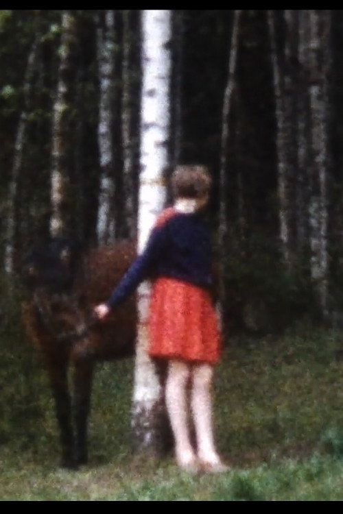 Världens sämsta hästtjej (2009) movie poster