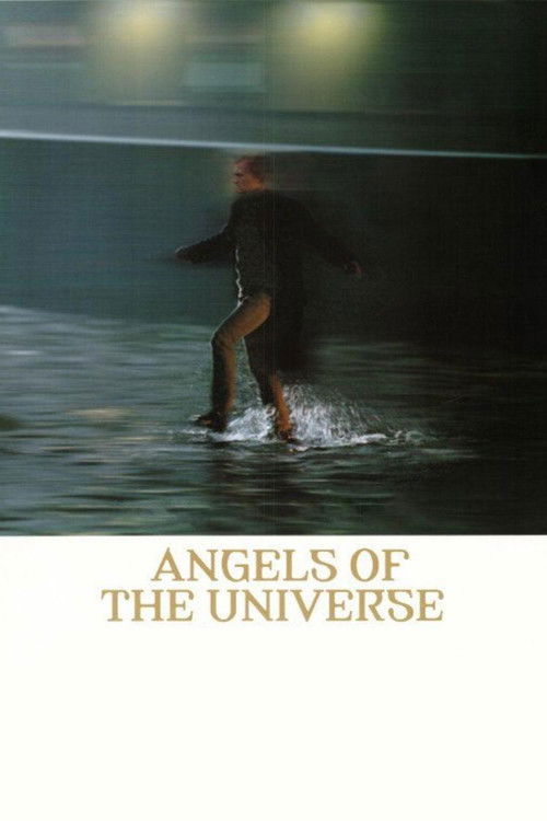 Angels of the Universe (2000) movie poster