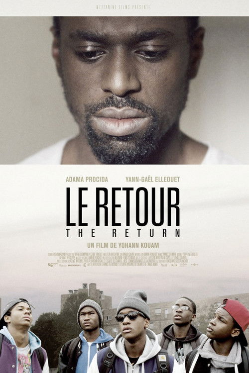 The Return (2014) movie poster