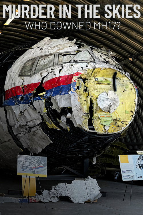 Murder in the Skies: Who Downed Mh17? (2025) TV show poster