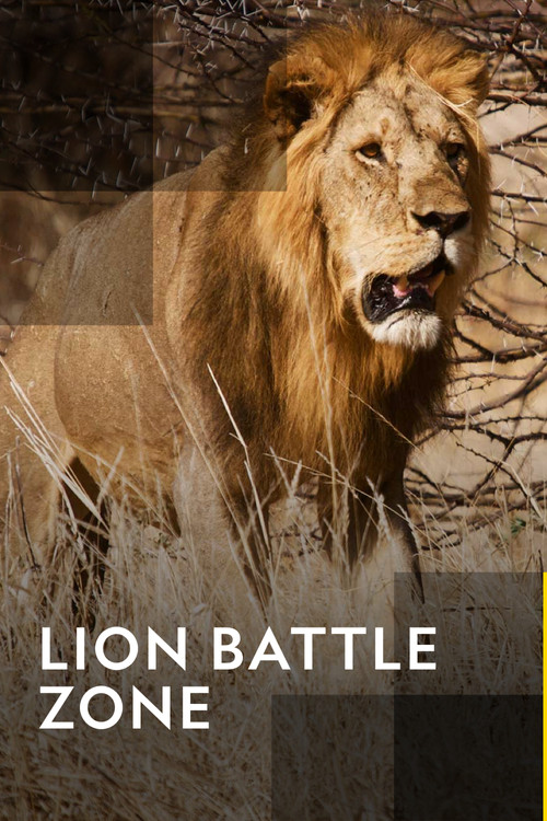 Lion Battle Zone (2012) movie poster
