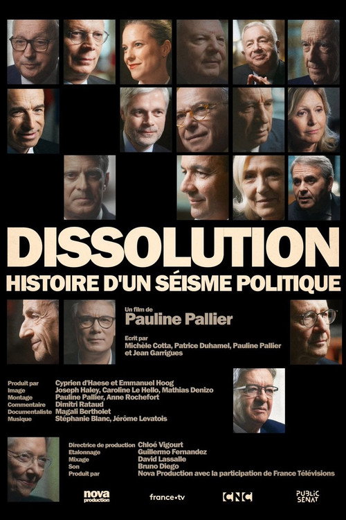 Dissolution, histoire d'un séisme politique (2024) movie poster