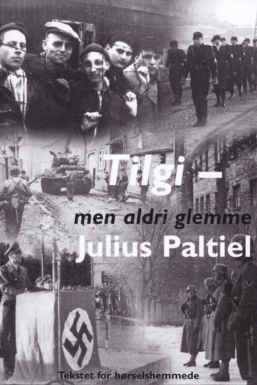 Tilgi - men aldri glemme: Julius Paltiel (2008) movie poster