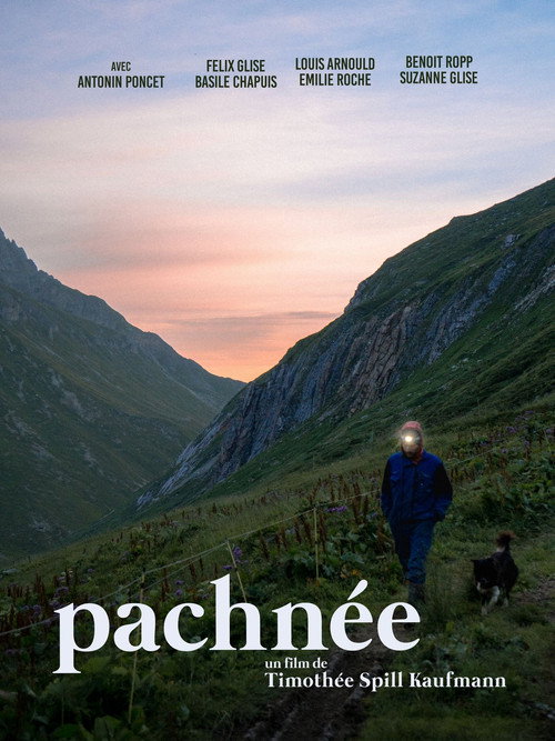 Pachnée movie poster
