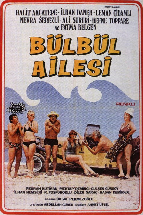Bülbül Ailesi (1976) movie poster