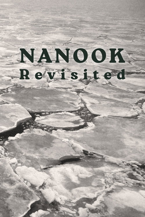 Nanook Revisited (1988) movie poster