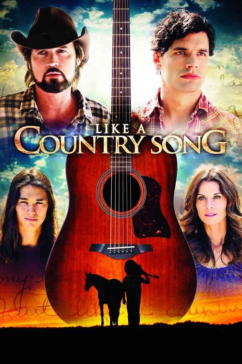 Like a Country Song (2014) movie poster
