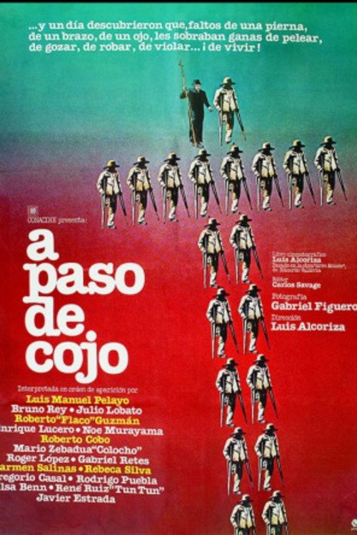 At a Lame Pace (1980) movie poster