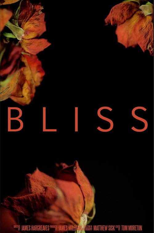 Bliss (2019) movie poster