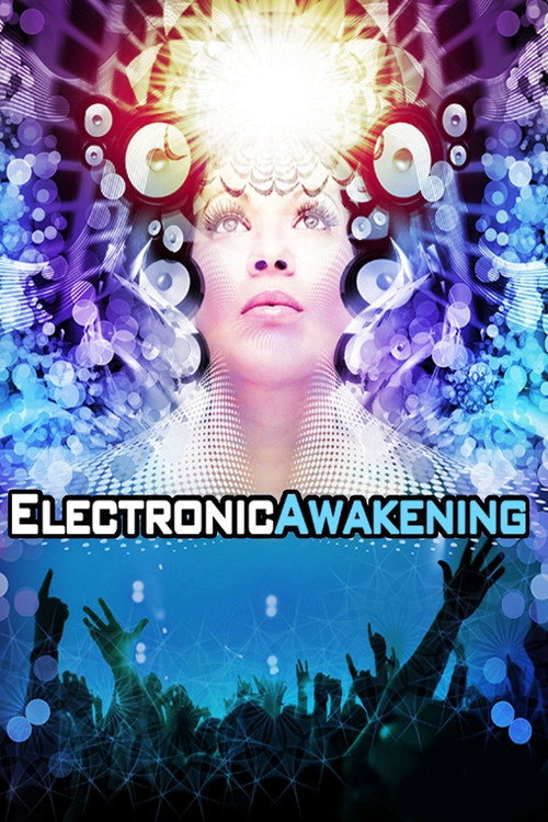 Electronic Awakening (2011) movie poster