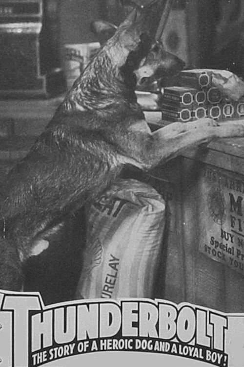 Thunderbolt (1935) movie poster